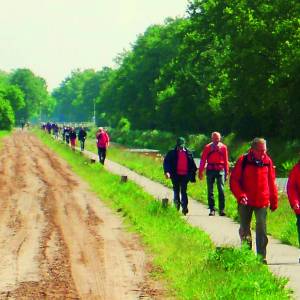 Wandelend de Twentse natuur bewonderen tijdens de Essenwandeltocht