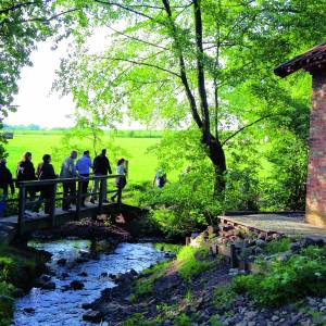 Excursie ‘Boerderijen en watermolens’ in Dal van de Mosbeek