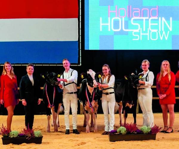 Dubbel goud voor Teun Oude Hengelo tijdens NK koe keuren in Leeuwarden