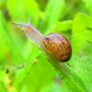 Kijk, geniet & bewonder......<br />BELEEF DE NATUUR! Wat zie ik precies?