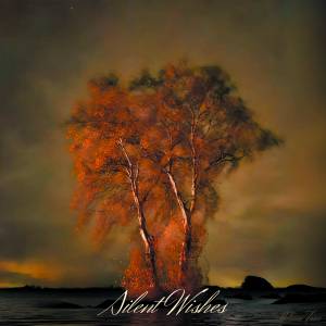 Pianist Daan Toon uit Tubbergen lanceert debuutalbum 'Silent Wishes'