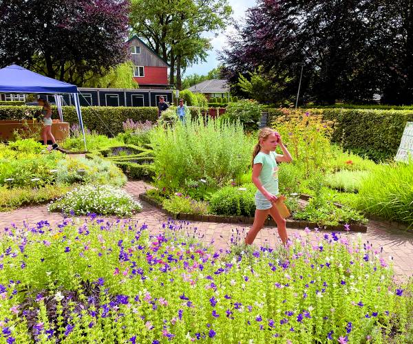 Proef de sfeer van kruiden tijdens open dag in Kruidentuin van Vasse