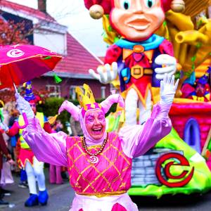 Carnavalsgeweld <br />barst los in het Turvendorp