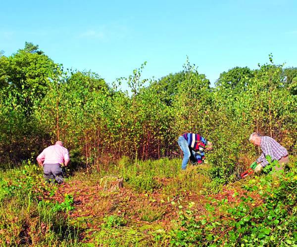 Landelijke Natuurwerkdag is jarig