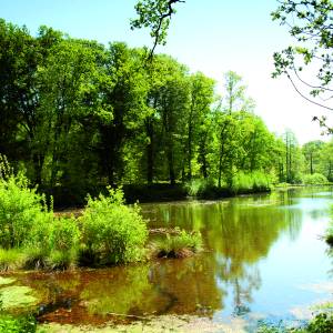 Wandeling ‘Struinen over de heide’ in Dal van de Mosbeek