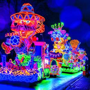 Wat je moet weten over de Twentse Verlichte Carnavalsoptocht Tubbergen…