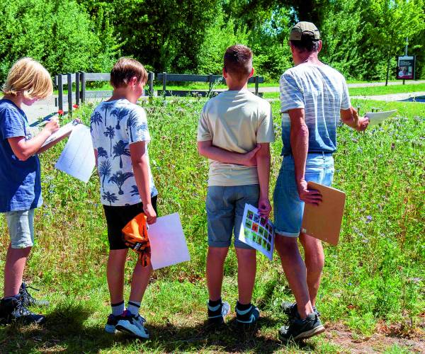 Basisschoolleerlingen op pad tussen bijen, vlinders en bloemen